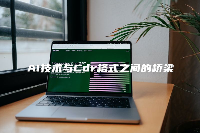 AI技术与Cdr格式之间的桥梁