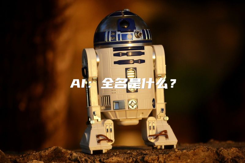 AI：全名是什么？