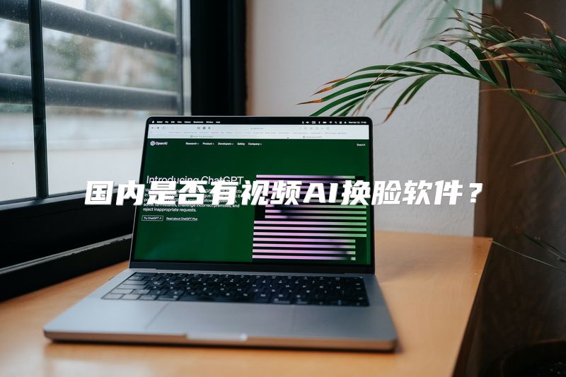 国内是否有视频AI换脸软件？
