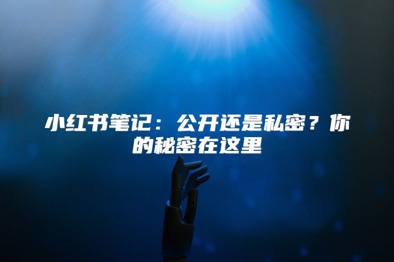 小红书笔记：公开还是私密？你的秘密在这里