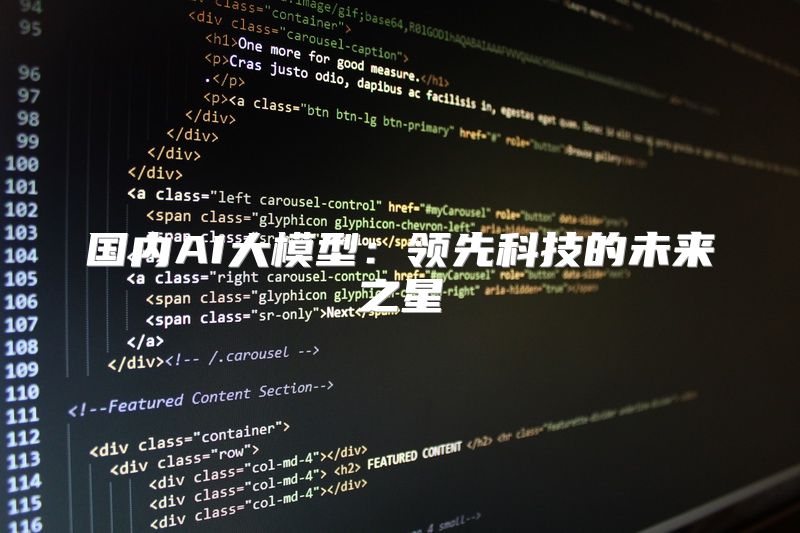 国内AI大模型：领先科技的未来之星