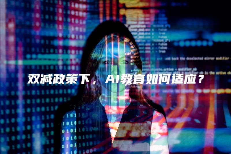 双减政策下，AI教育如何适应？