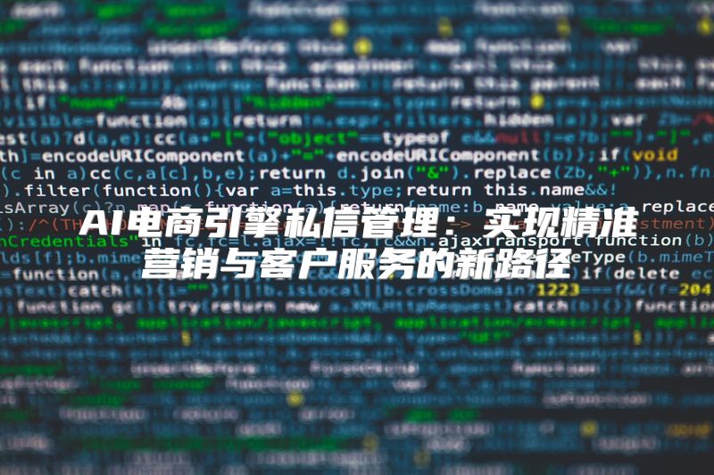 AI电商引擎私信管理：实现精准营销与客户服务的新路径