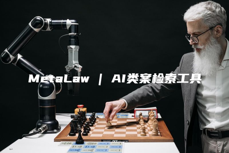 MetaLaw | AI类案检索工具