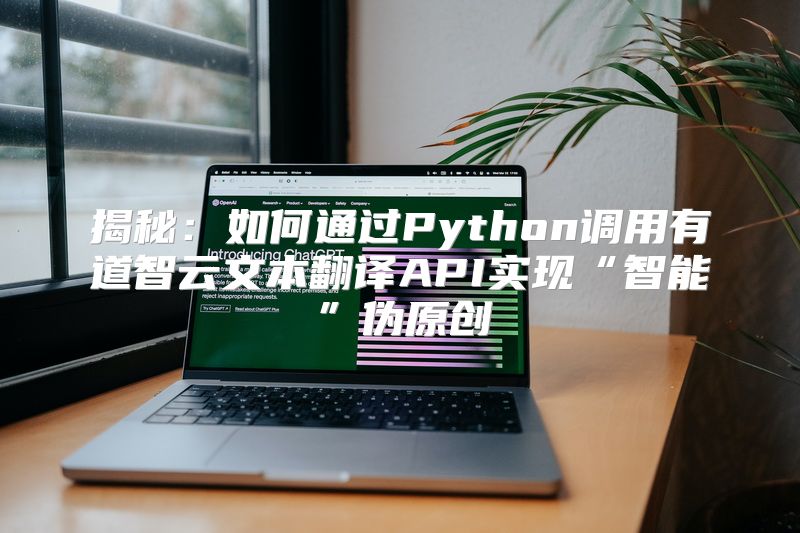 揭秘：如何通过Python调用有道智云文本翻译API实现“智能”伪原创