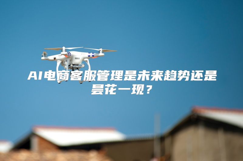 AI电商客服管理是未来趋势还是昙花一现？