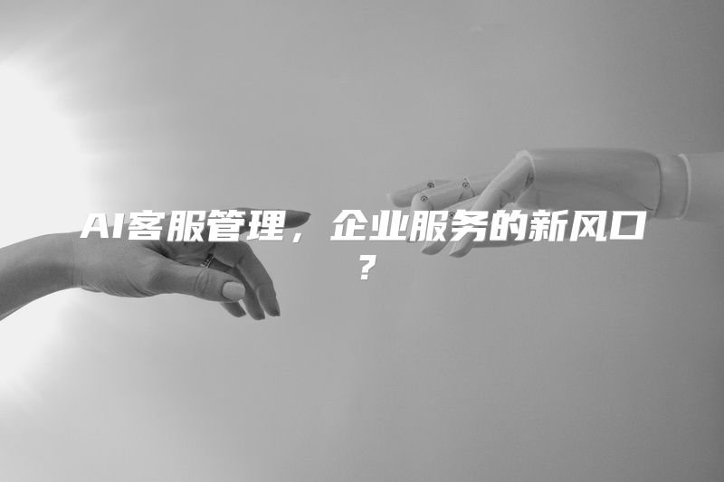 AI客服管理，企业服务的新风口？