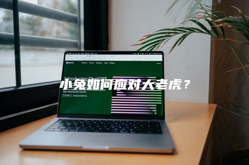 小兔如何应对大老虎？