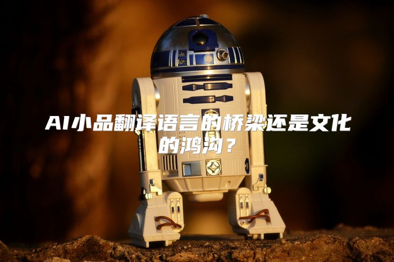 AI小品翻译语言的桥梁还是文化的鸿沟？