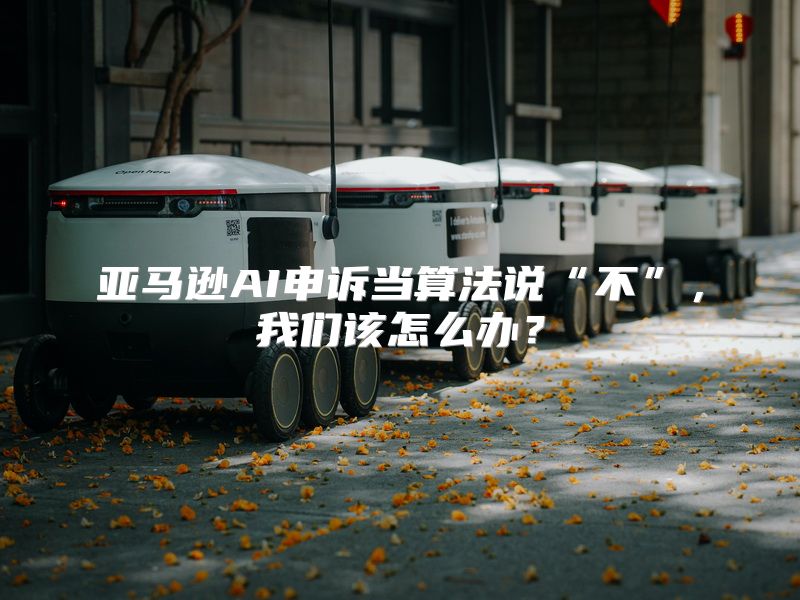 亚马逊AI申诉当算法说“不”，我们该怎么办？