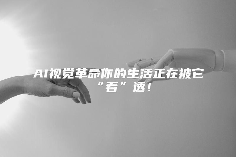 AI视觉革命你的生活正在被它“看”透！