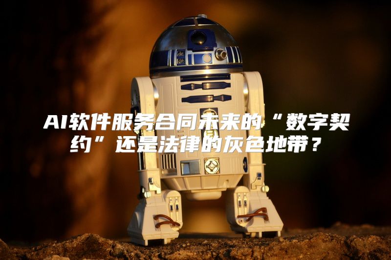 AI软件服务合同未来的“数字契约”还是法律的灰色地带？