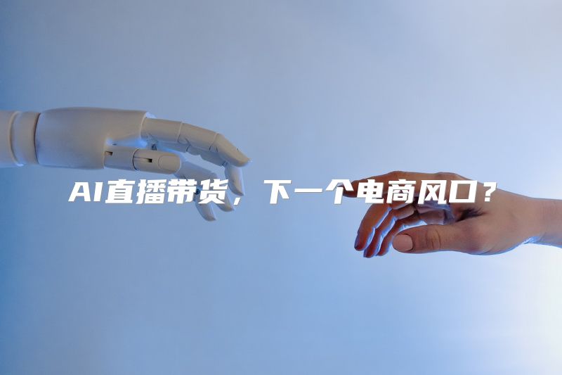 AI直播带货，下一个电商风口？