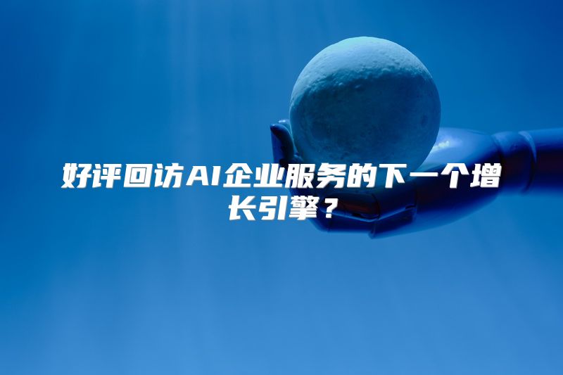 好评回访AI企业服务的下一个增长引擎？