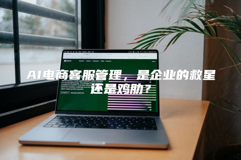AI电商客服管理，是企业的救星还是鸡肋？