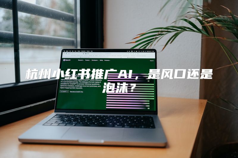 杭州小红书推广AI，是风口还是泡沫？