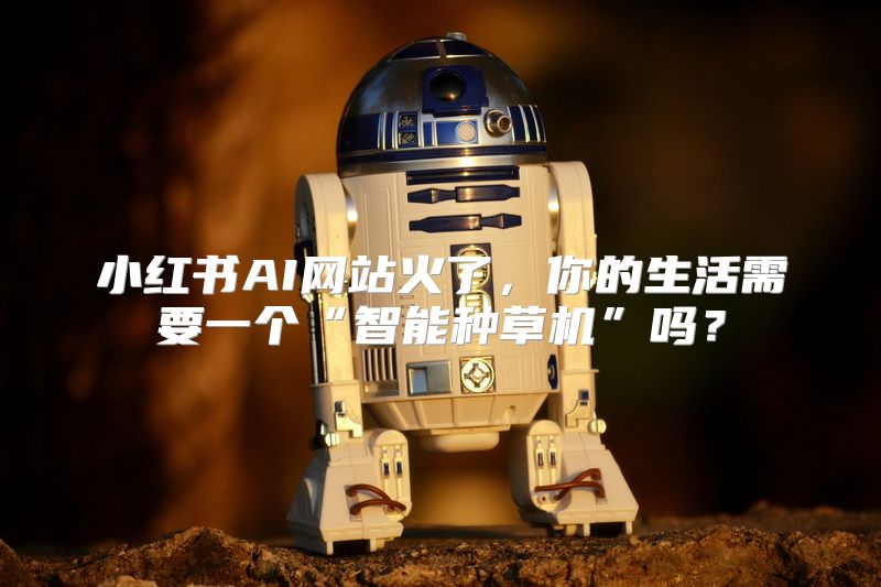 小红书AI网站火了，你的生活需要一个“智能种草机”吗？