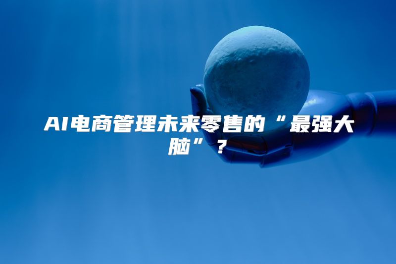 AI电商管理未来零售的“最强大脑”？