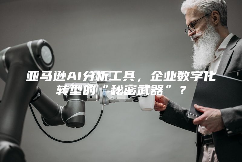 亚马逊AI分析工具，企业数字化转型的“秘密武器”？