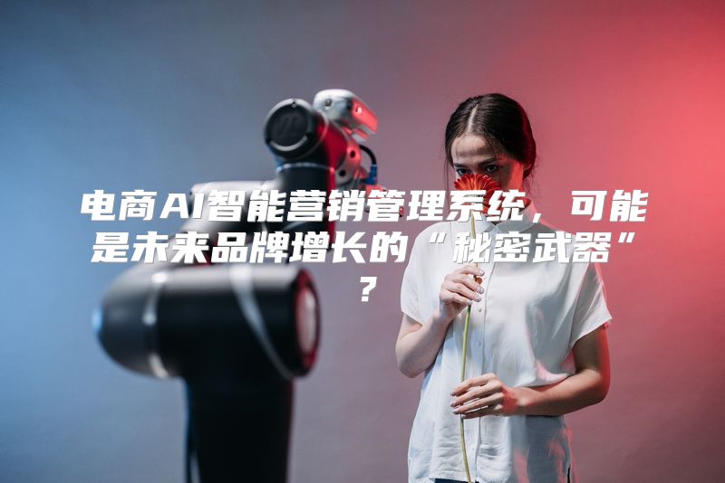 电商AI智能营销管理系统，可能是未来品牌增长的“秘密武器”？