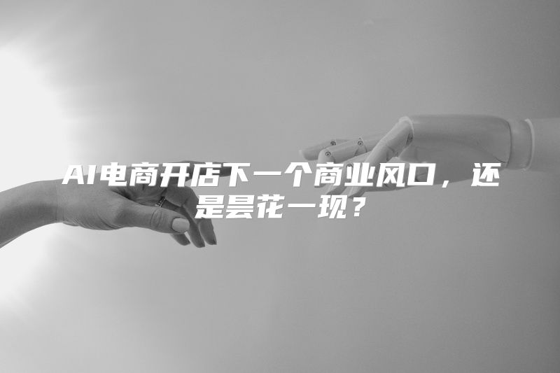 AI电商开店下一个商业风口，还是昙花一现？