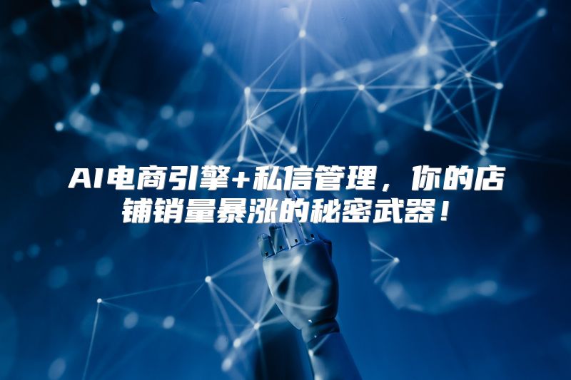 AI电商引擎+私信管理，你的店铺销量暴涨的秘密武器！