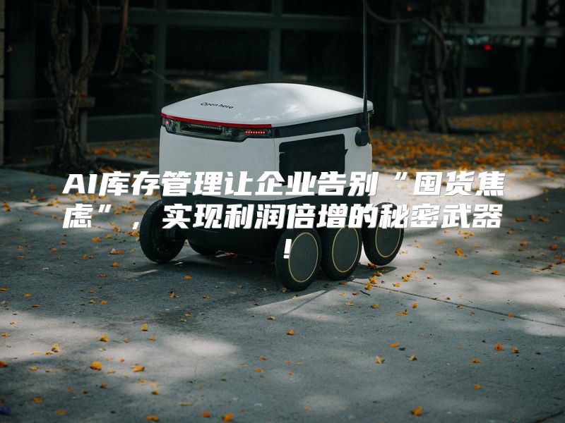 AI库存管理让企业告别“囤货焦虑”，实现利润倍增的秘密武器！